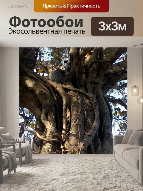 Фотообои Филиал