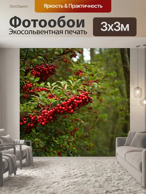 Фотообои лес с красными ягодами, растущими на кустах