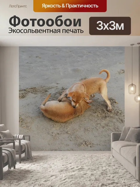 Фотообои Щенок