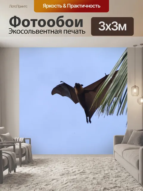 Фотообои Летучая лисица