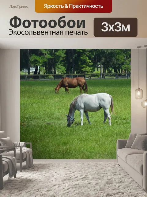 Фотообои Просто Выпас