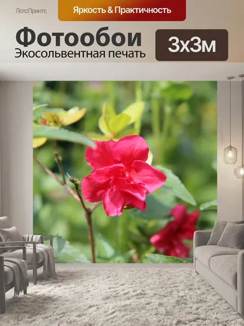 Фотообои Азалия