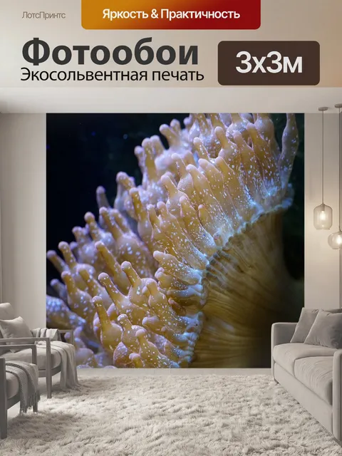 Фотообои Анемоны