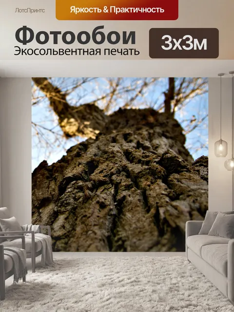 Фотообои Дуб дерево