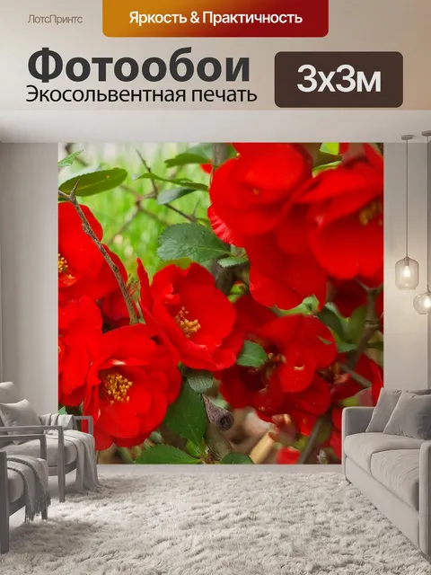 Фотообои Цветущая айва