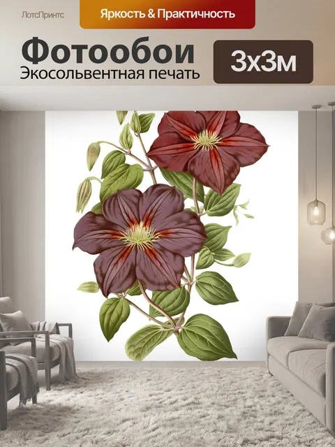 Фотообои Цветы
