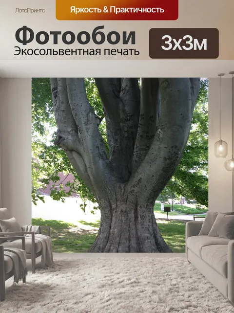 Фотообои Ствол