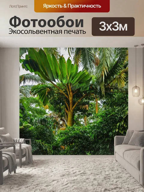 Фотообои тропические деревья с большими листьями