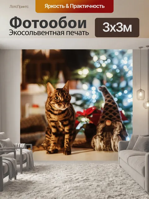Фотообои Кошка