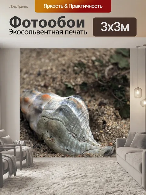 Фотообои Оболочка