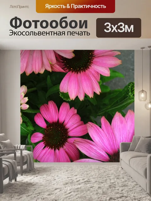 Фотообои Красная шляпа солнца