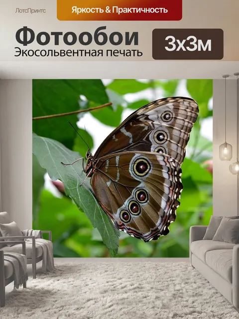 Фотообои Голубая бабочка морфо