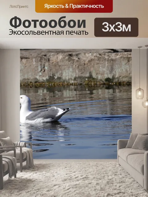 Фотообои Чайка Отражение