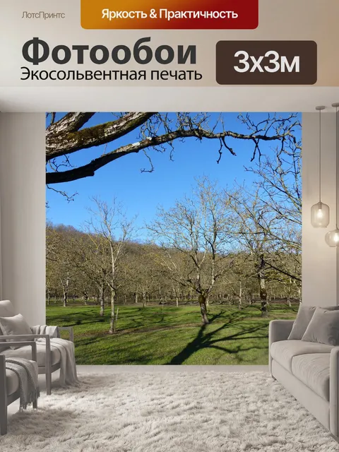 Фотообои Ореховое поле