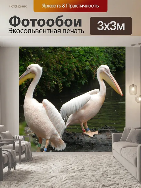 Фотообои Розовый пеликан