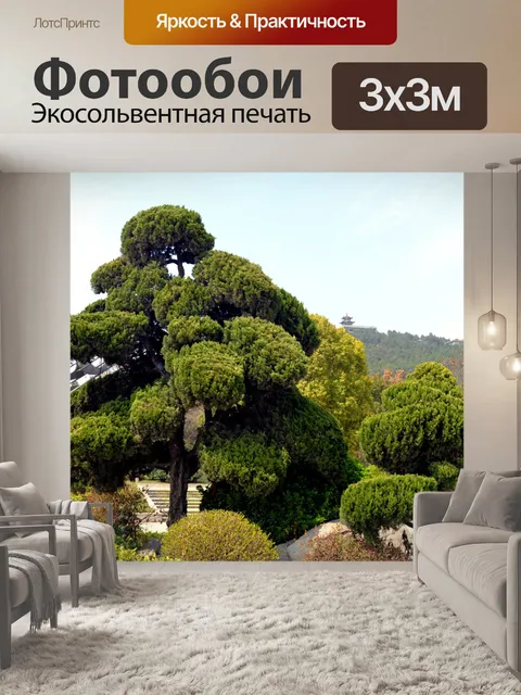 Фотообои Изящные деревья
