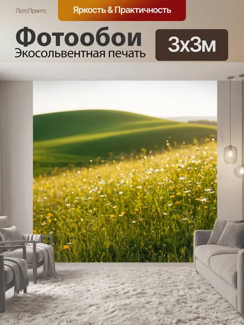 Фотообои утро: пейзаж с луком и цветами, где струи утренней росы сверкают на лепестках
