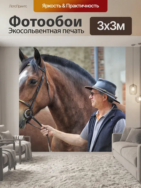 Фотообои Лошадь
