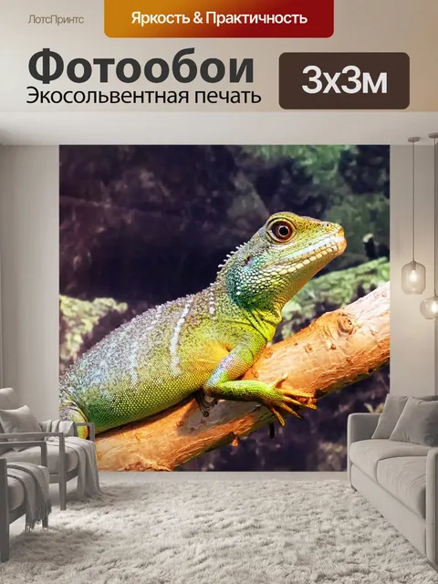 Фотообои Китайский язык