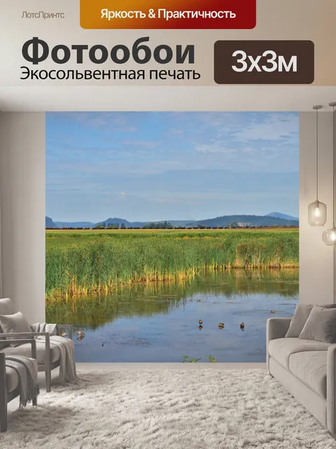 Фотообои Водно-болотное угодье