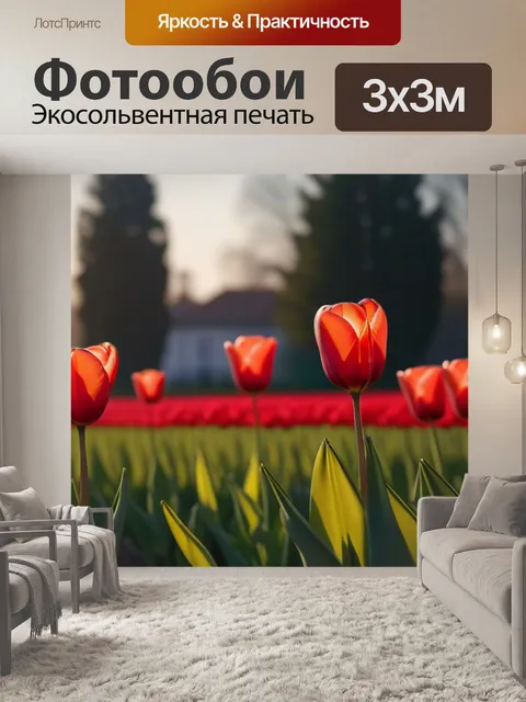 Фотообои освежающие тюльпаны в утреннем свете