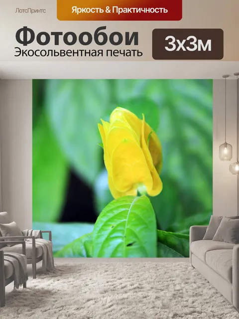 Фотообои Желтый цветок