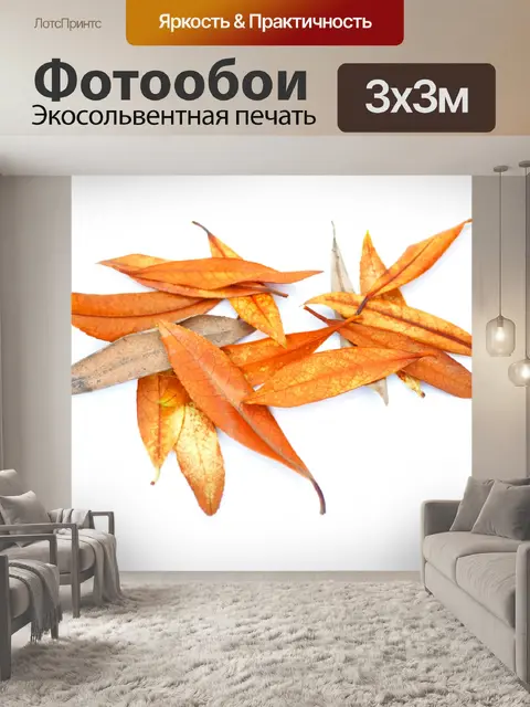 Фотообои Сухие листья