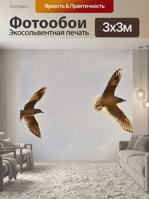 Фотообои Чайки