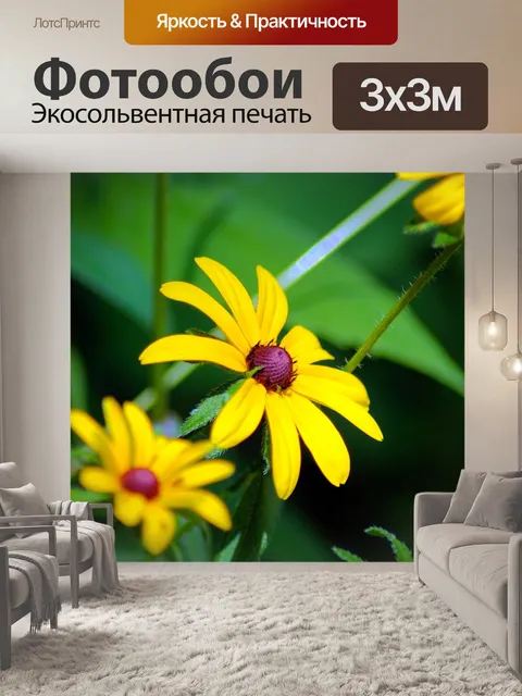 Фотообои Черноглазая сьюзан