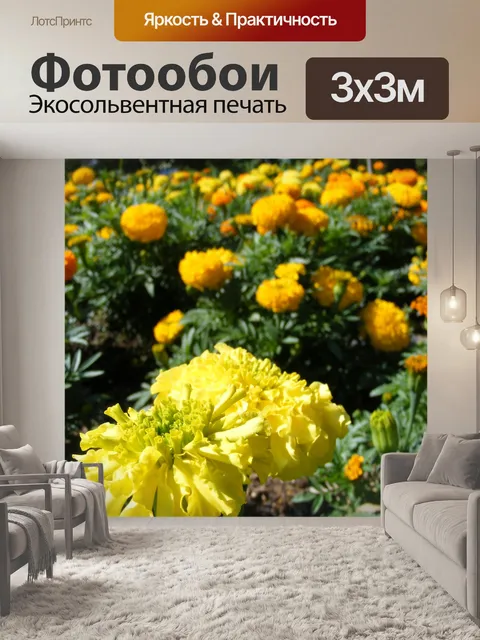 Фотообои Бархатцы