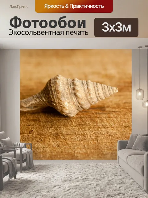 Фотообои Морская улитка