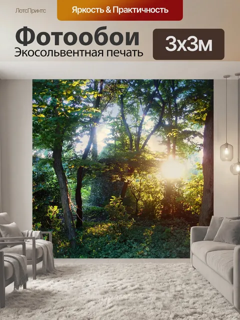 Фотообои Лес