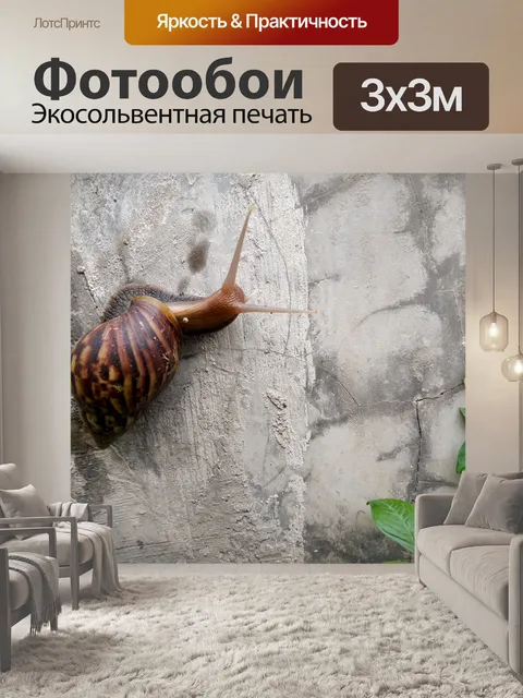 Фотообои Улитка Bekicot