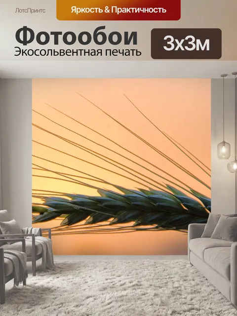 Фотообои Ухо пшеницы на закате