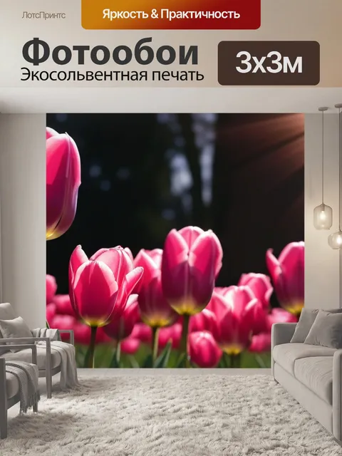 Фотообои нежные розовые тюльпаны под солнечными лучами
