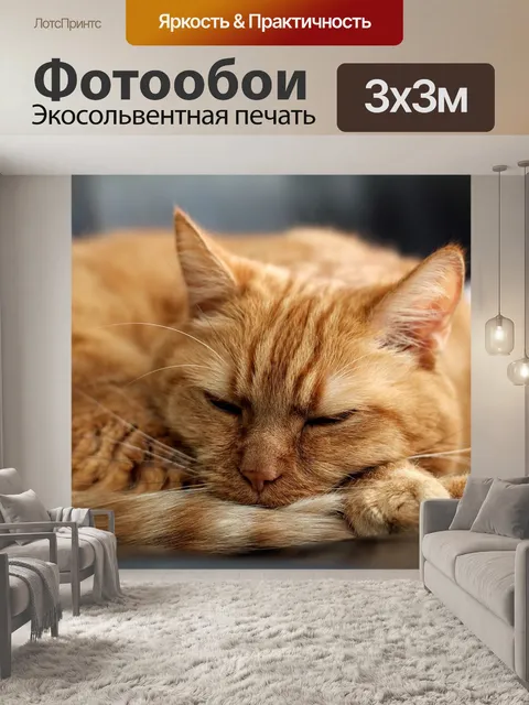 Фотообои Кот