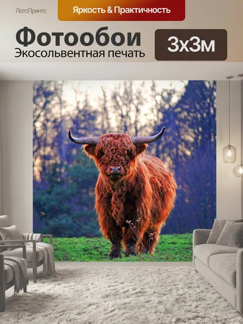 Фотообои Горный бык