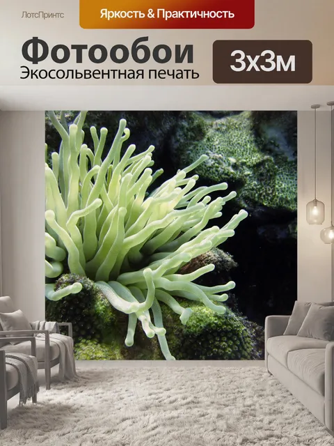 Фотообои Подводный