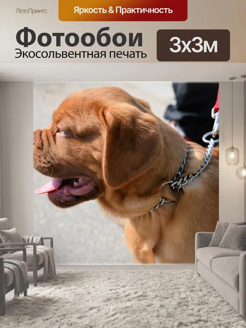 Фотообои Бордоский дог щенки