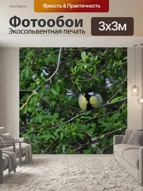 Фотообои Большая синица