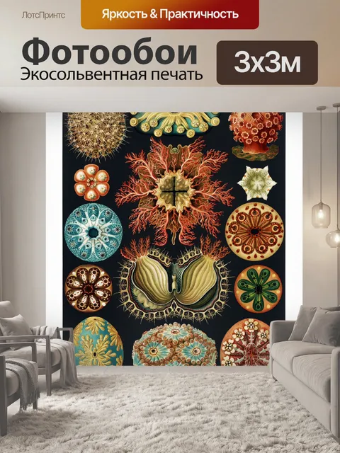Фотообои Морская звезда морского ежа коралловый в