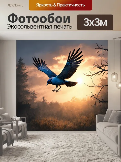 Фотообои птица, парящая над мрачным лесом, с яркими перьями, на фоне закатного неба