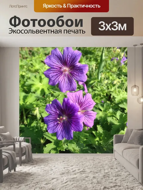 Фотообои Герань