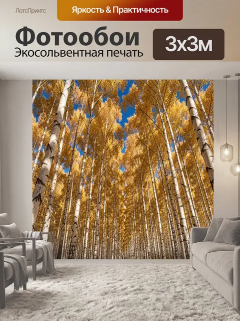 Фотообои Осенний березовый лес