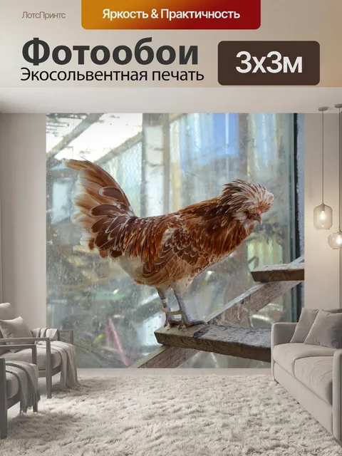 Фотообои Курица