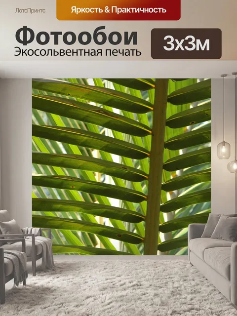 Фотообои Ладони