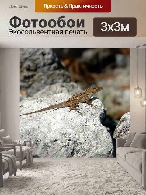 Фотообои Ящерица в диких условиях