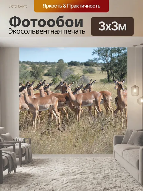 Фотообои Импалы