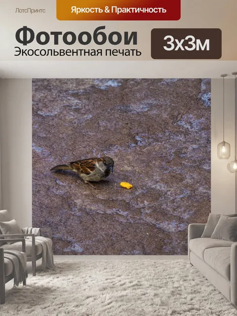 Фотообои Воробей