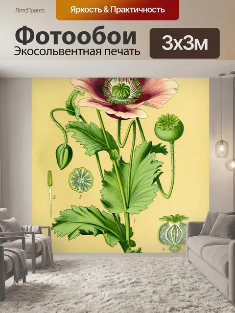 Фотообои Цветок красный винтаж арт